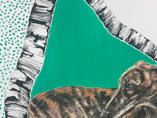 Hound in Spring Birch Woods