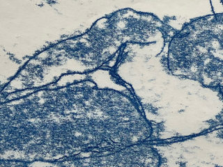 Niwaki monotype blue