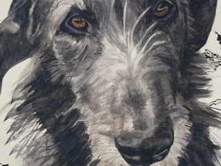 Deerhound with Queen Anne’s Lace